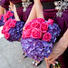 Sarah Lehrman Photo 6