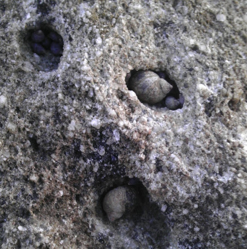 Sarah Wolfe Photo 7 Sarah Wolfe Photo 7