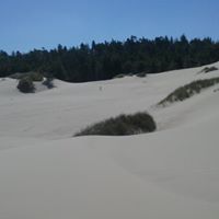 Paula Hemphill Photo 5