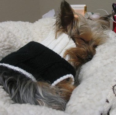 Pam Nichols Photo 11