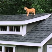 Ruth Whaley Photo 13