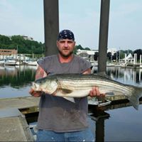 Tim Marcotte Photo 12