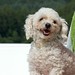 Caroline Pickens Photo 4