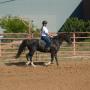 Traci Sherman Photo 22