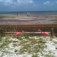 Deborah Mcmahon Photo 12