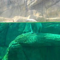 John Poulos Photo 25 John Poulos Photo 25