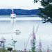 Patricia Bartlett Photo 22