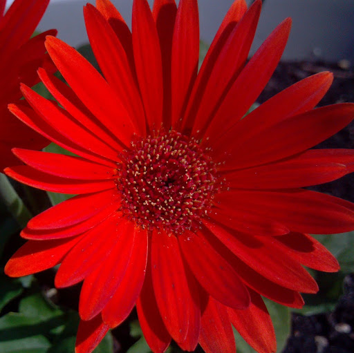 Christine Schwarz Photo 30