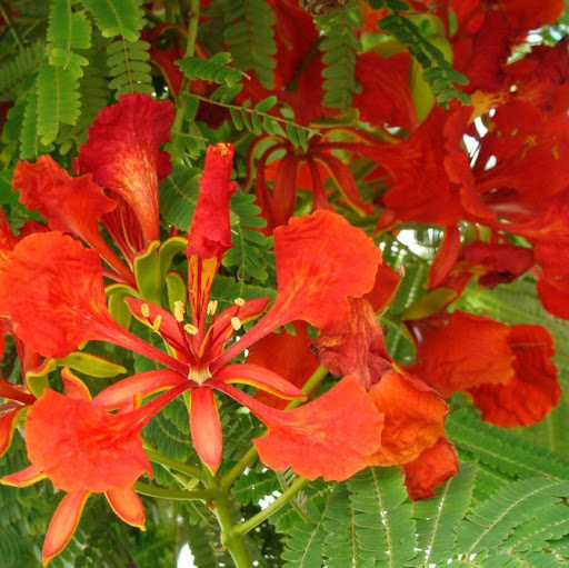 Theresa Nelson Photo 33 Theresa Nelson Photo 33