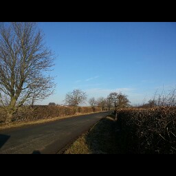 Adam O'Neill Photo 7