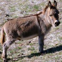 James Burrow Photo 25 James Burrow Photo 25