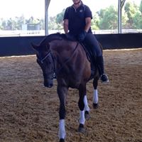 Heidi Wegner Photo 12