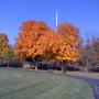 Rebekah Webb Photo 8
