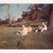 Scott Carlson Photo 30