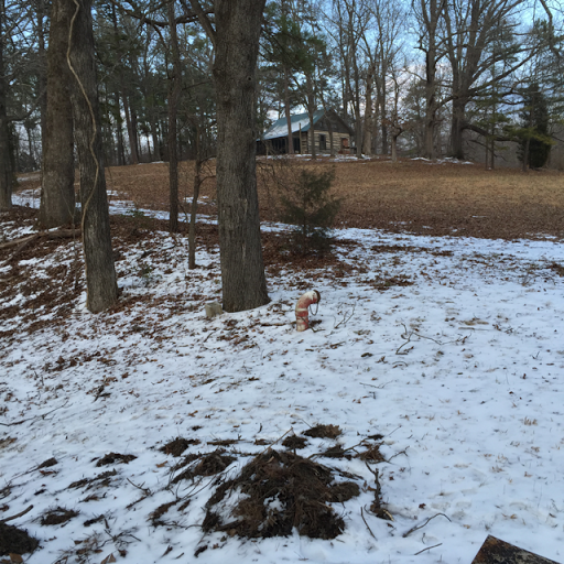 William Cheek Photo 50 William Cheek Photo 50