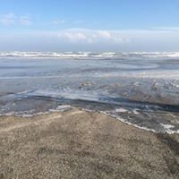 Cindie Watts Photo 2