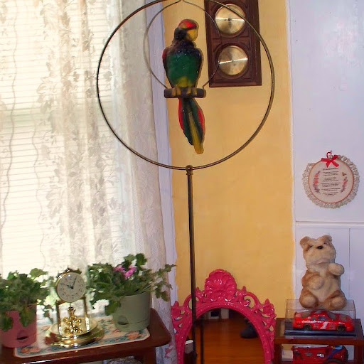 Dennis Burrows Photo 18