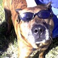 John Lowder Photo 30 John Lowder Photo 30