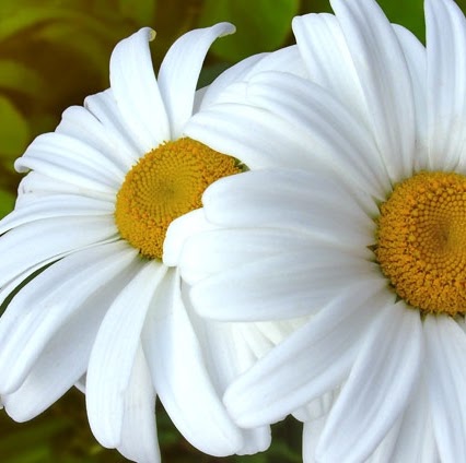 Margarita Vasquez Photo 19