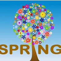 Carole Spring Photo 3