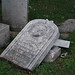 Julia Graves Photo 40