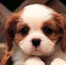 Julia Colwell Photo 15