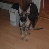 Tommy Wilkerson Photo 14