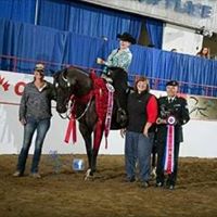 Susan Arnot Photo 2