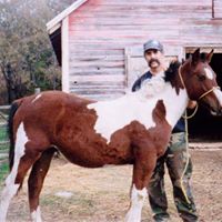 David Burkett Photo 47