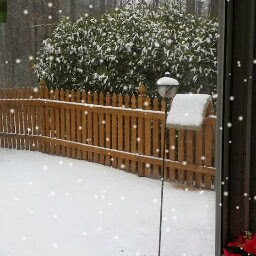 Shirley Patrick Photo 20