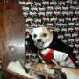 Christy Lowe Photo 2