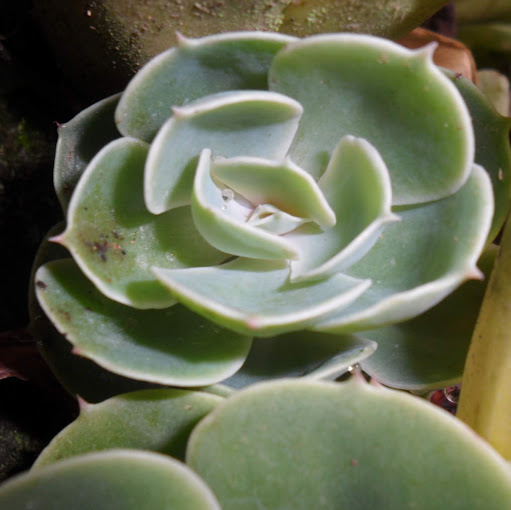 Sara Velasquez Photo 19