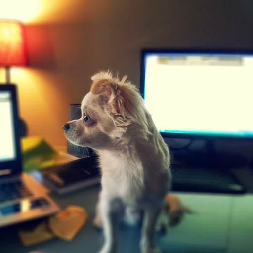 Soo Choi Photo 31 Soo Choi Photo 31