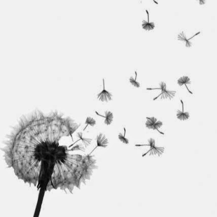 Michele Holland Photo 6