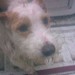 Angie Jamison Photo 15