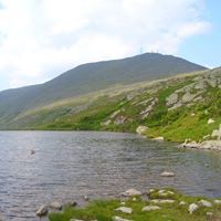 Thomas Keefe Photo 19 Thomas Keefe Photo 19