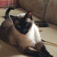 Julie Gonzales Photo 20