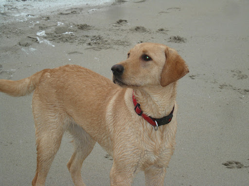 Julie Miner Photo 18