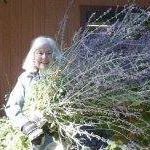 Maxcine Brown Photo 5