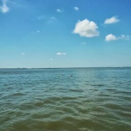 Ruby Richard Photo 20