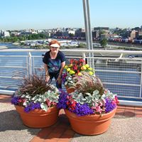 Carol Prendergast Photo 19