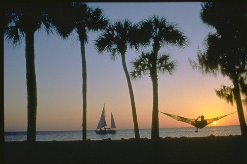 David Seibert Photo 20