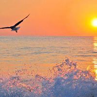 Deborah Seals Photo 5