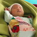Abigail Young Photo 10