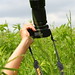 Sue Shaw Photo 3