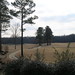 Andrew Ford Photo 17