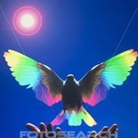 Michael Braggs Photo 9