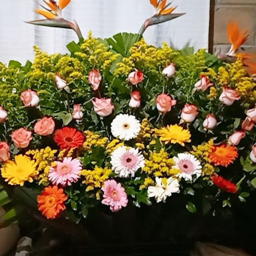 Cecilia Vargas Photo 18