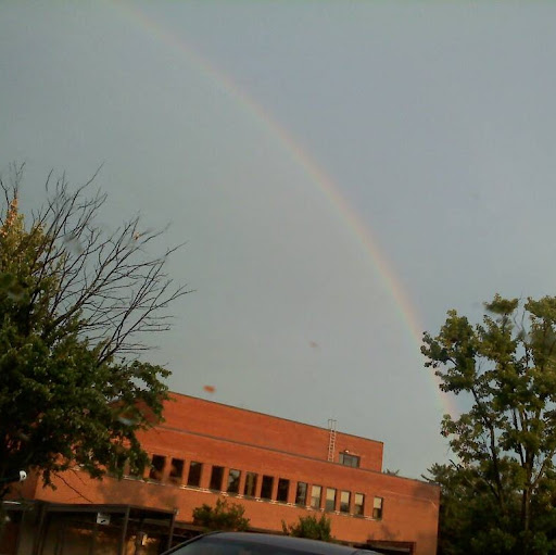 Jackie Stevenson Photo 15