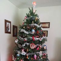 Julie Brunette Photo 22